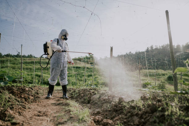 Best Pest Control Cost  in Bronxville, NY