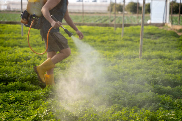 Best Commercial Pest Control Services  in Bronxville, NY