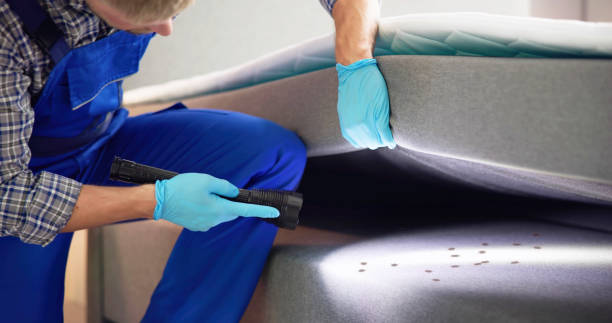 Best Emergency Pest Control  in Bronxville, NY