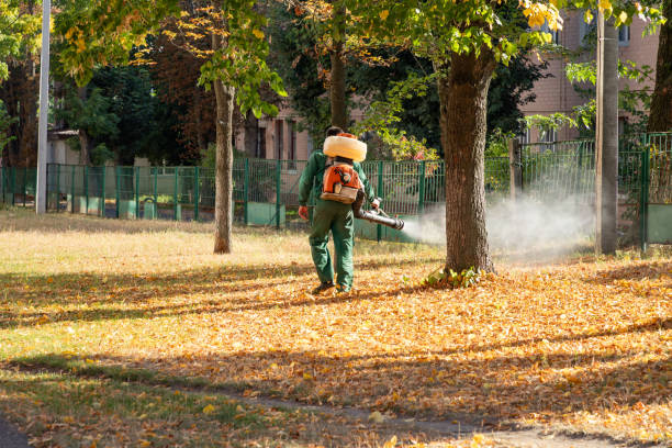 Best Affordable Pest Control Services  in Bronxville, NY