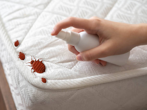 Best Cockroach Control Services  in Bronxville, NY