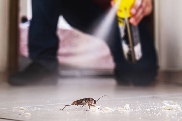 Best Flea Control Services  in Bronxville, NY