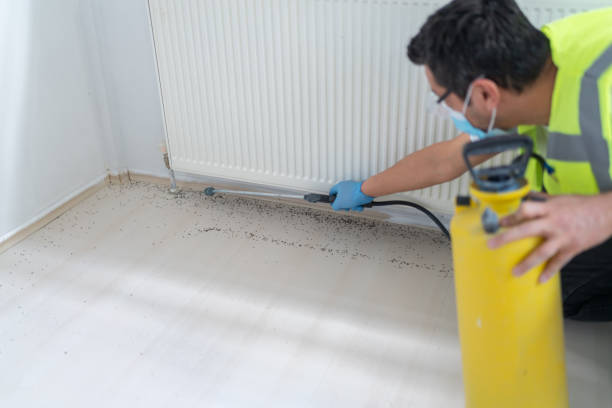 Best Residential Pest Control  in Bronxville, NY