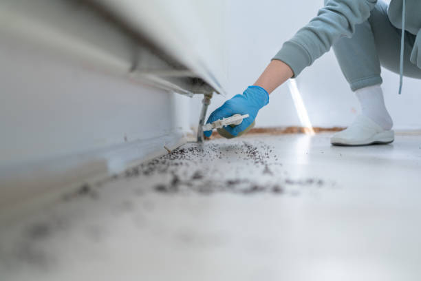 Trusted Bronxville, NY Pest Control Experts
