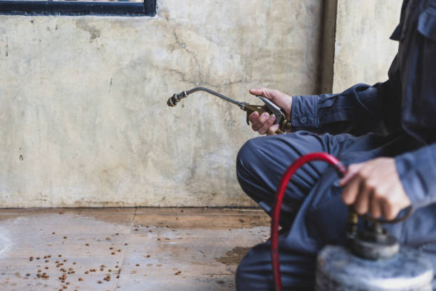 Best Best Pest Control Companies  in Bronxville, NY